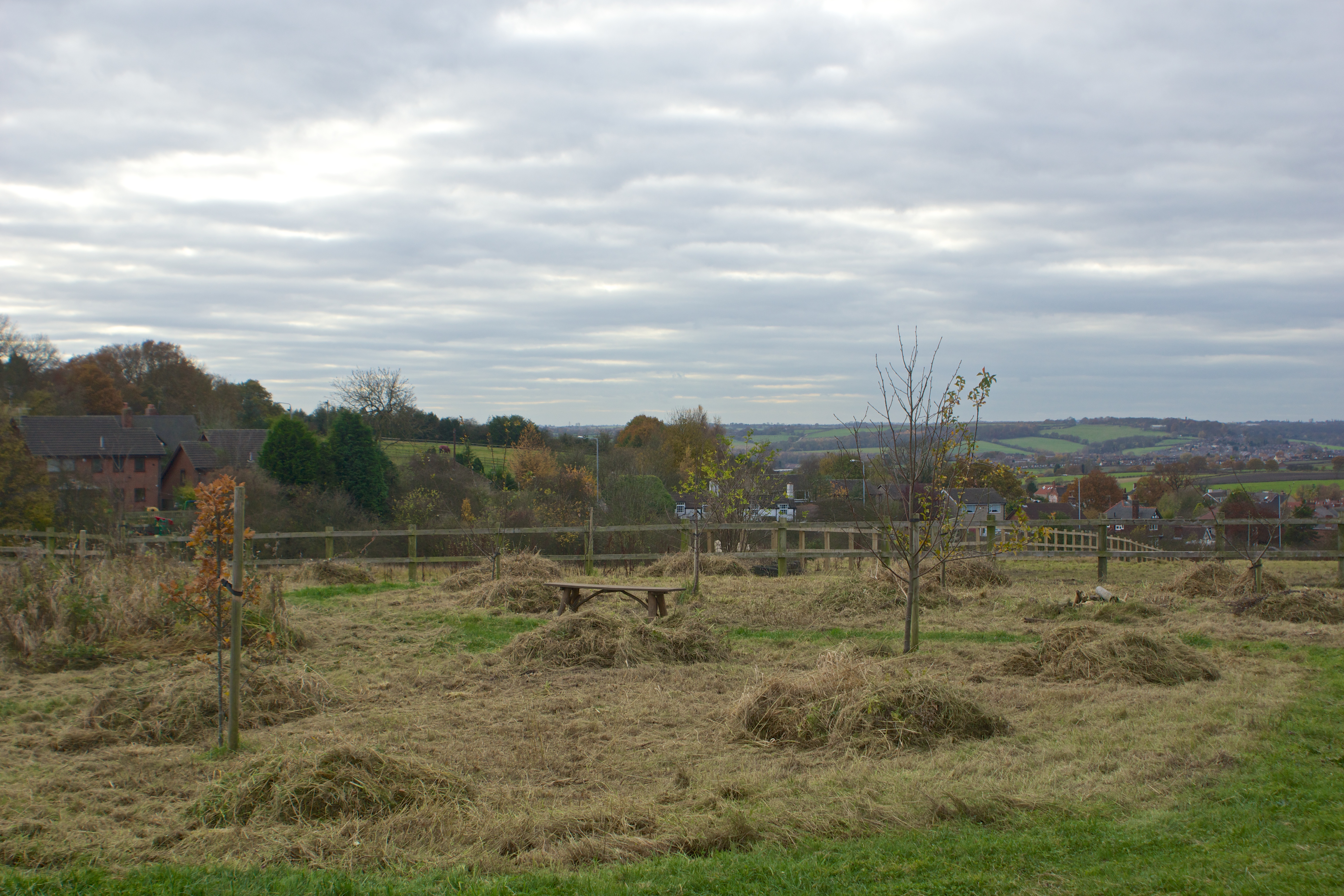 The wildflower meadows taken soon after cutting started in November.