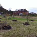 Much work needed on wildflower meadow