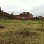 Autumn work on wildflower meadow completed